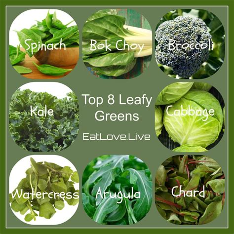 Collection 100 Wallpaper List Of Green Leafy Vegetables With Pictures