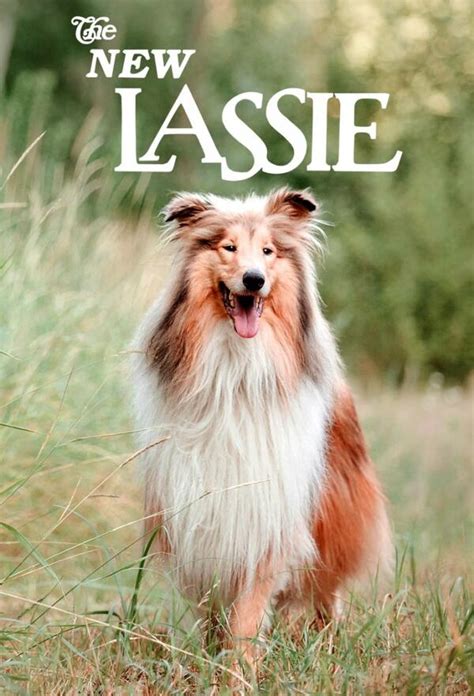 The New Lassie Original Air Date Trakt