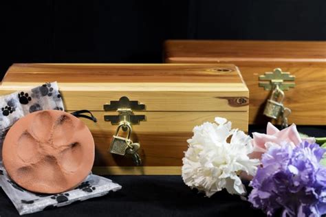 If you have ever lost a pet, then you know how difficult it can be. 20 Sympathetic Pet Loss Quotes | LoveToKnow