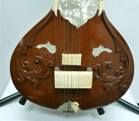 Indian Sitar Folk Musical Instrument | Indian Sitar | Veena | Sitar