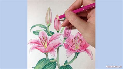 Cách Vẽ Hoa Hướng Dẫn Chi Tiết Từng Bước để Tạo Ra Những Bức Tranh đẹp