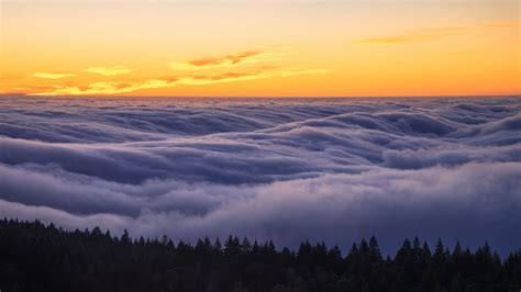 Fog Over Mount Tamalpais State Park California