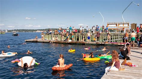 Plan to visit halifax waterfront boardwalk, canada. floating swim docks | Halifax waterfront, Tens place ...