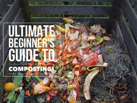 Composting 101 How To Compost For Beginners Gardening Channel