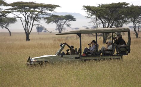 Serengeti Safaris Cost And Prices Vacations Best Serengeti Tours