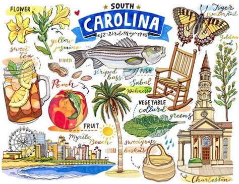 South Carolina Print State Symbols Illustration The Etsy South