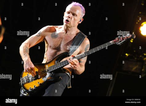Bassist Michael Flea Balzary Of The Us Band Red Hot Chili Peppers