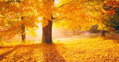 15 Reasons Why Autumn Is The Best Season Metro News
