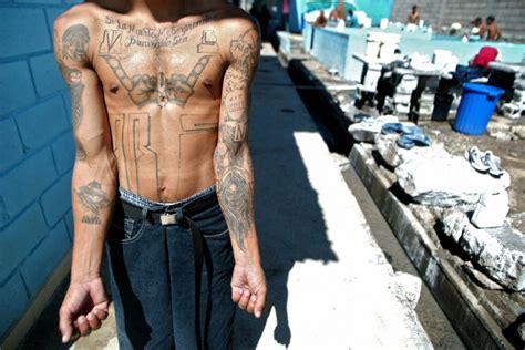 113 Suspected Ms 13 Gang Members Arrested In El Salvador