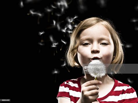 Young Girl Blowing Dandelion High Res Stock Photo Getty Images