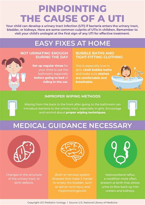 Pediatric Urology Infographic Pinpointing The Cause Of A UTI UCI Pediatric Urology