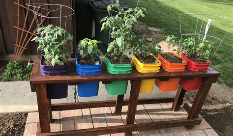 How To Avoid Common Problems Growing Vegetables In Containers Farm