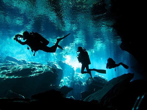 Divers exploring Garden of Eden Cenote, Mayan... - It's a beautiful world