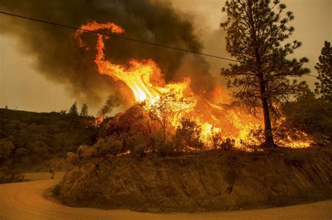 Изучайте релизы erika berg на discogs. The California Wildfires: The Death Toll Rises - The New ...