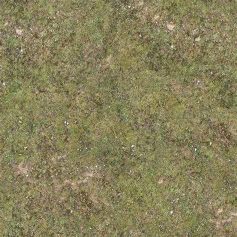 Texture  Grass Terrain Surface Grass Texture Seamless Terrain