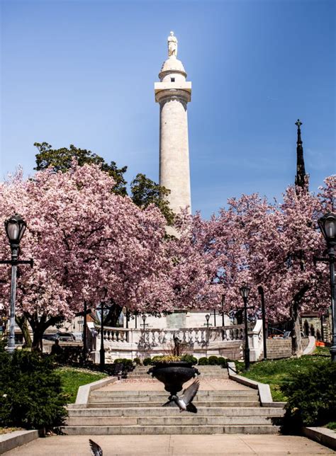 In mount vernon there are a lot of bars, restaurants, coffee shops, and parks. Neighborhood Spotlight: Baltimore's Mount Vernon - Life is ...