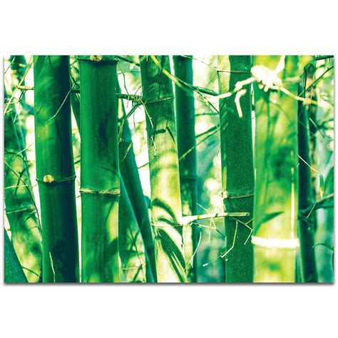 Metal Art Studio Bamboo Forest By Meirav Levy Nature Photography