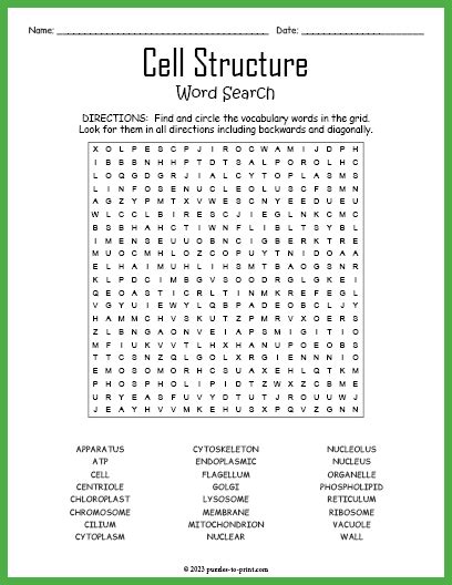 Cell Structure Word Search Monster Word Search 52e