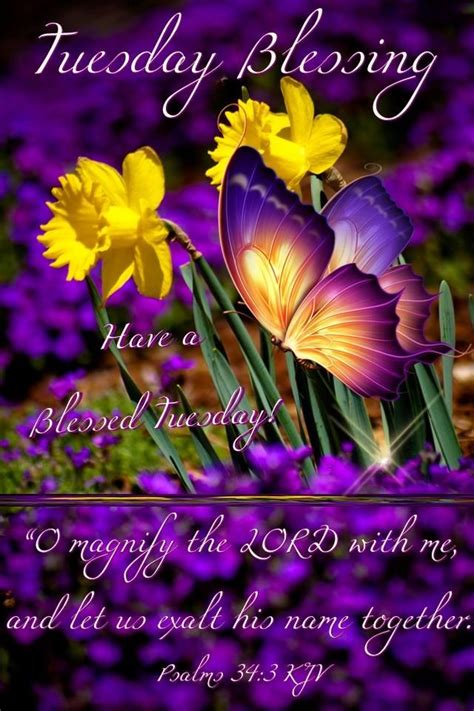 You have probably seen the have a blessed tuesday photo on any of your favorite social networking sites, such as facebook, pinterest, tumblr, twitter, or even your personal website or blog. Good Morning, Happy Tuesday, I pray that you have a safe ...