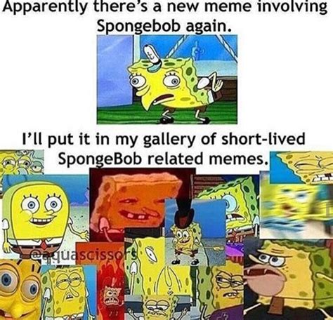 You What Meme Spongebob