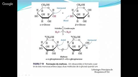 O Que é Ligação Glicosídica