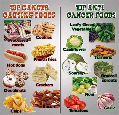 Makanan Penyebab Penyakit Kanker