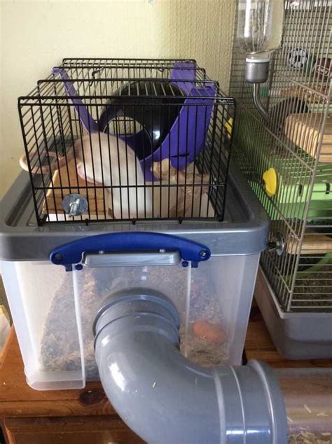 Rat Cage Extension Imgur Rat Cage Rat Cage Diy Rat Cage Accessories