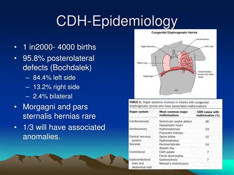 Ppt Congenital Diaphragmatic Hernia Dr Osama Bawazir Powerpoint