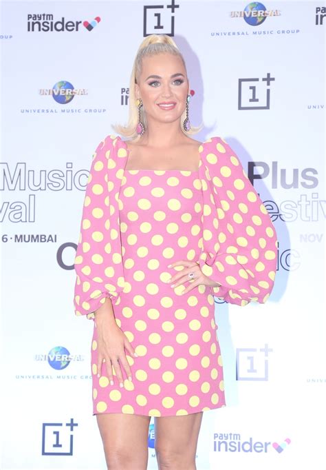 katy perry upskirt show her panties 25 photos the fappening