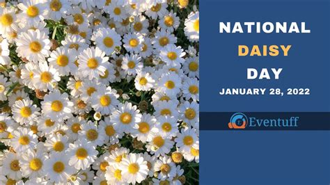 National Daisy Day January 28 2023 Eventuff