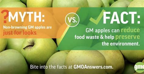 Are Gmos Found All Over The Grocery Store Gmo Facts Food Myths Facts