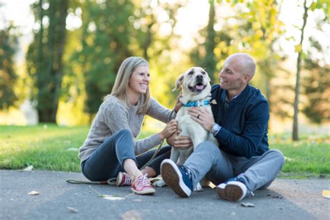 Here is how to obtain your license. Dog Licenses | Deschutes County Oregon