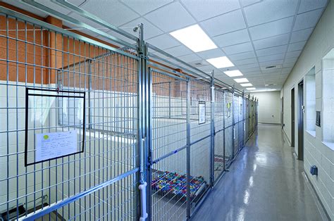 Design Concepts — Shelter Planners Of America Animal Shelter