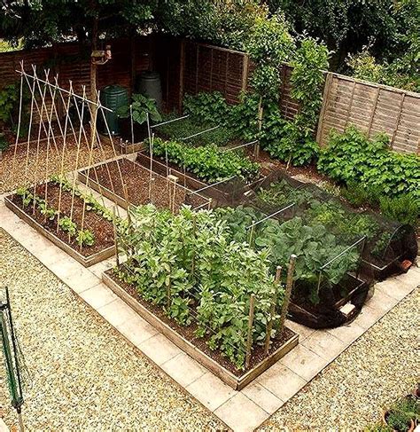 Designing A Vegetable Garden Layout For Maximum Yield And Efficiency