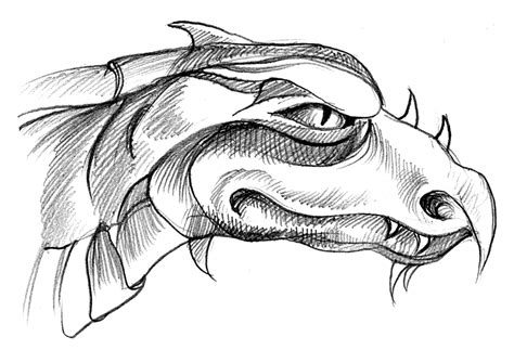 Indeed, dragon drawings are as timeless as they can get. Art By-Products: I can Draw a Dragon's Head