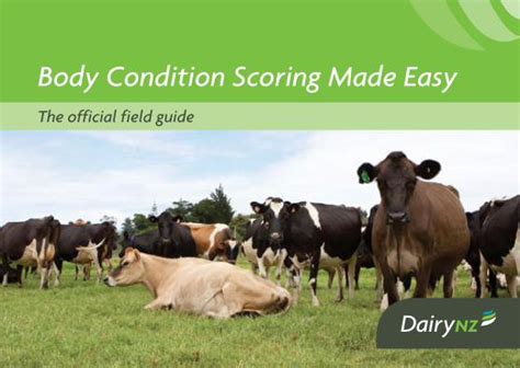 PDF Body Condition Scoring Made Easy DairyNZ Body Condition