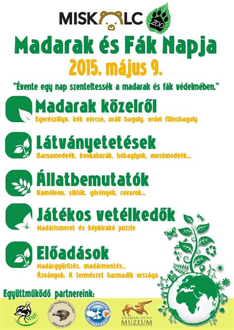 Élőben jelentkeztünk be a madarak és fák napján sukoróról a vadmadárkórházból. Madarak és Fák Napja | Miskolci Állatkert és Kultúrpark