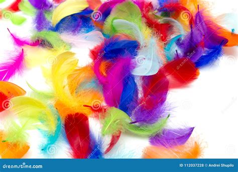 Multi Colored Feathers On A White Background Stock Photo Image Of