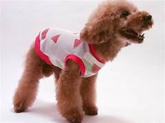 5%ea%b0%80%ec%a7%80 %ed%8c%81%ec%9c%bc%eb%a1%9c %ec%84%a0%eb%8b%88%eb%b2%a0%ec%9d%bc%ec%97%90%ec%84%9c %eb%b0%9d%ec%9d%80 %eb%af%b8%ec%86%8c%eb%a5%bc %ec%9c%84%ed%95%9c %ec%9e%87%eb%aa%b8 %ea%b4%80