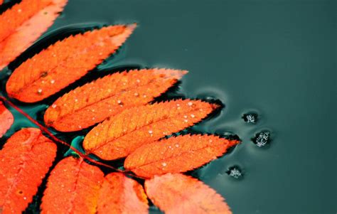Autumn Feeling By Kariliimatainen On Deviantart Fall Feels