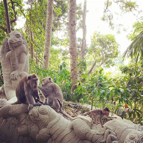 A Floresta Sagrada Dos Macacos Em Ubud Bali é Um Dos Poucos Lugares