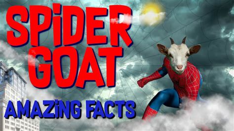 Amazing Facts Spider Goatits Truegoat Dna Mixed With A Spiders Dna