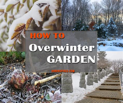How To Overwinter Your Plants And Garden Ann Inspired