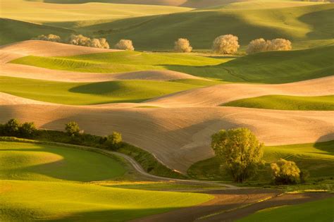 Palouse Hills Unique Wallpaper Green Wallpaper Nature Wallpaper