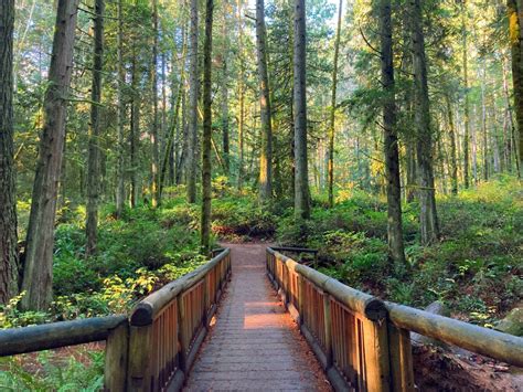 14 Fun Things To Do On Bainbridge Island With Or Without A Car