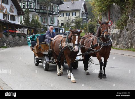 Horse Carriage Ride Neuschwanstein Castle Up Hill Germany Stock Photo