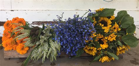 Flowers — Blue House Farm