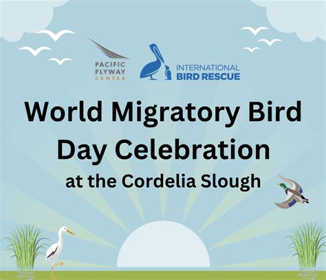 World Migratory Bird Day Celebration World Migratory Bird Day