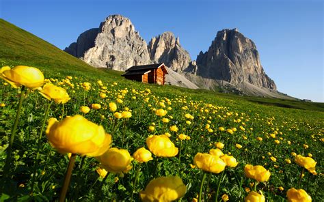 Dolomite Pale Mountains Monti Palides Trentino Italy Nature Landscape