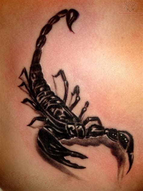 Scorpion Tattoos Tattoo Me Now